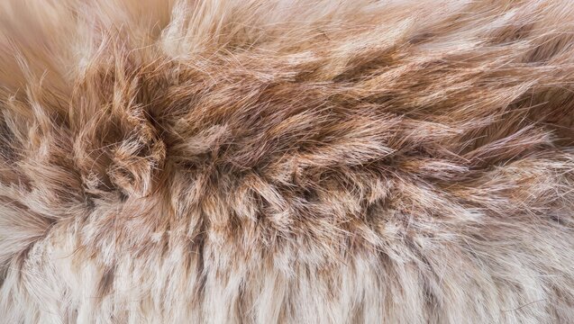 Luxurious Golden Brown Faux Fur Texture Background with Soft Fluffy Fibers
