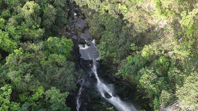 April 19 2026  Pak Shui Wun Forest Waterfall
