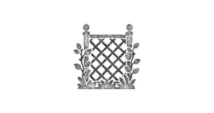 Sketch trellis icon animation - smooth progressive reveal