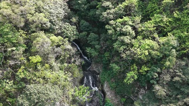 April 19 2026  Pak Shui Wun Forest Waterfall