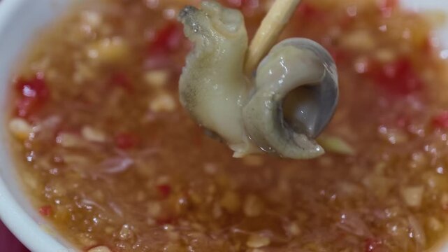 Macro close up of skewered spotted babylon snail with shallow depth of field over ginger fish sauce