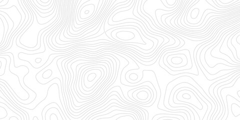 Obraz premium Abstract topographic map lines contour background pattern in white and grey colors with elevation lines