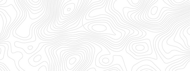 Obraz premium Abstract topographic map lines contour background pattern in white and grey colors with elevation lines