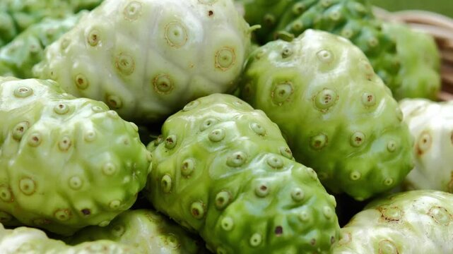 Fresh Noni Fruit in a Woven Basket	