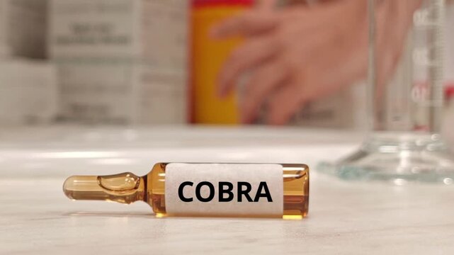 COBRA associated with medically important snakebite envenomation and species-appropriate antivenom treatment