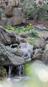 Small Waterfall Flowing Over Rocks in a Serene Zen Garden