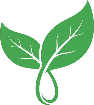 Simple green leaf icon representing nature and organic growth