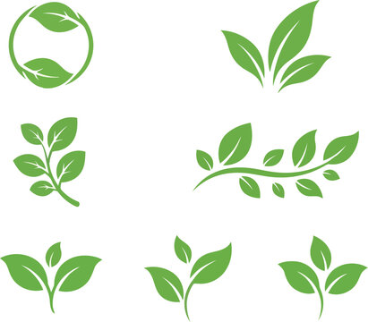 Set of green leaf icons and organic plant elements for natural design concepts and decorative botanical graphics for ecology and environment themes