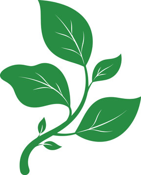 A simple green plant branch with fresh leaves illustration