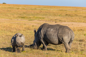 Afrika © Thomas