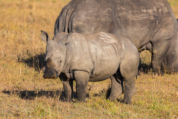 Afrika © Thomas