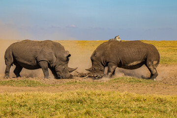 Afrika © Thomas