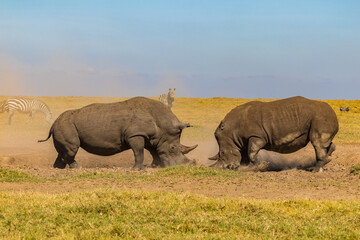 Afrika © Thomas