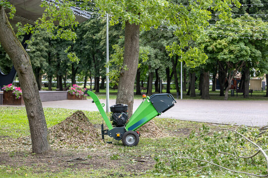 Wood chipper beside pile of shredded branches during tree maintenance in city park