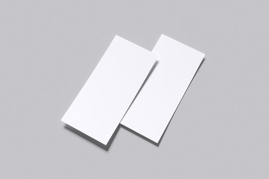 Realistic DL Flayer Blank