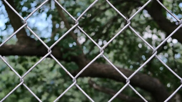 Close up of a metal chain link fence with a blurred green nature background. Concept of boundary, restricted area, privacy and security. Shallow depth of field with soft summer bokeh.