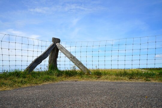 Wildlife fence on a dike on the North Sea