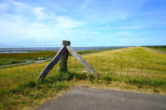 Wildlife fence on a dike on the North Sea