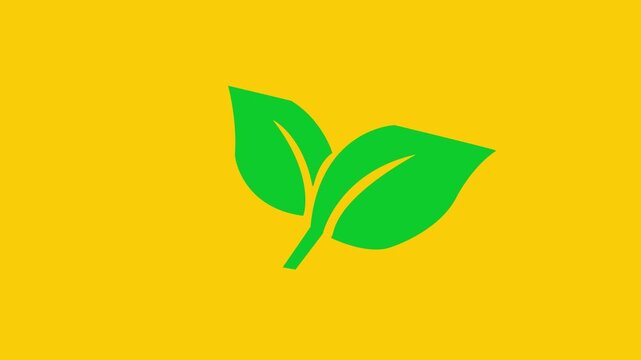 Green Leaves Nature Growth Symbol Animation