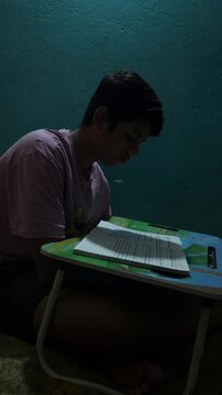 Young Boy Studying at Home with School Book, Child Doing Homework at Desk, Education and Learning Concept, Student Reading Textbook, Concentration, Childhood Development and Academic Study