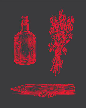 vampire hunter toolkit halloween icons set, wooden stake, toxic wolfsbane bunch and holy water bottle, vintage woodcut illustration style