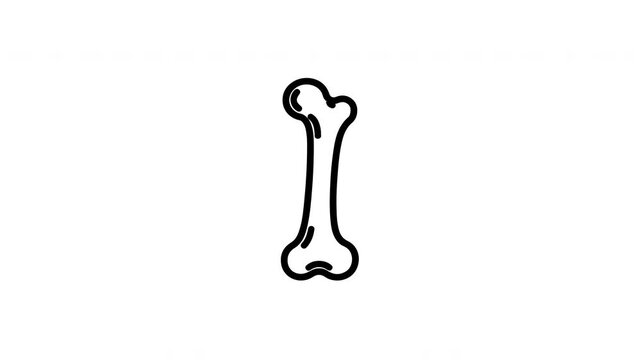 Minimalist bone icon animation set on white background