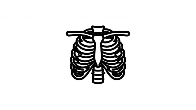 Human rib cage bone animation icons on white background