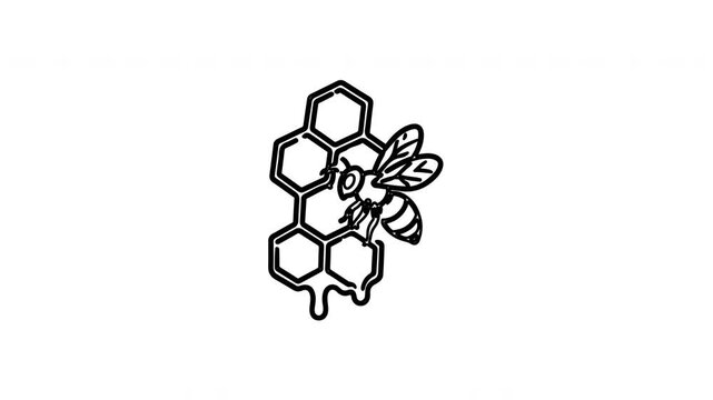 Bee on honeycomb line art icon animation