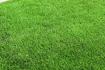 Fototapeta premium close up of clean green synthetic grass lawn surface