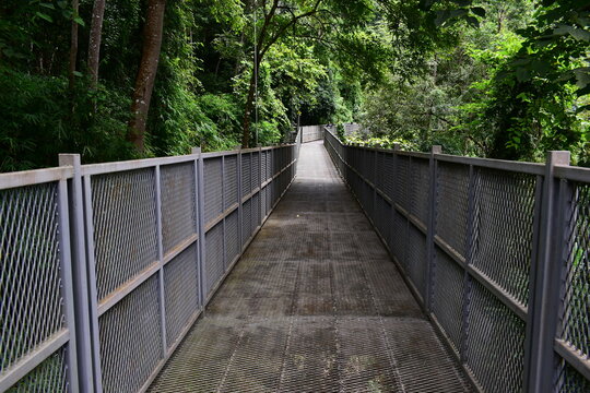 elevated steel mesh footbridge path with tall safety railing surrounded by tree