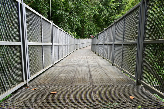 elevated steel mesh footbridge path with tall safety railing surrounded by tree