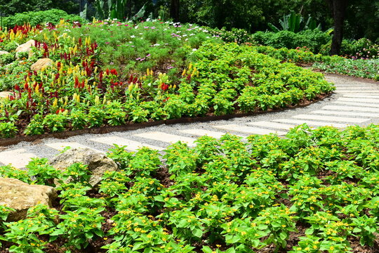 beautiful landscape garden pathway with rock decorative flower and green plant