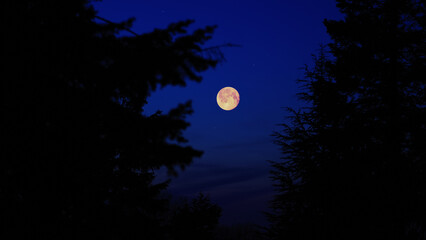 Full Moon, stars and planets above landscape silhouettes. © astrosystem
