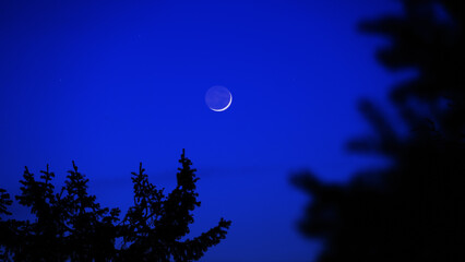 Blue hour time with crescent Moon, stars and planets above landscape silhouettes. © astrosystem