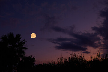 Full Moon on a twilight sky with landscape silhouettes. © astrosystem