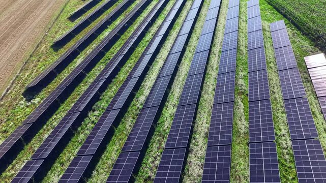 Rows of solar panels stretching across green farmland