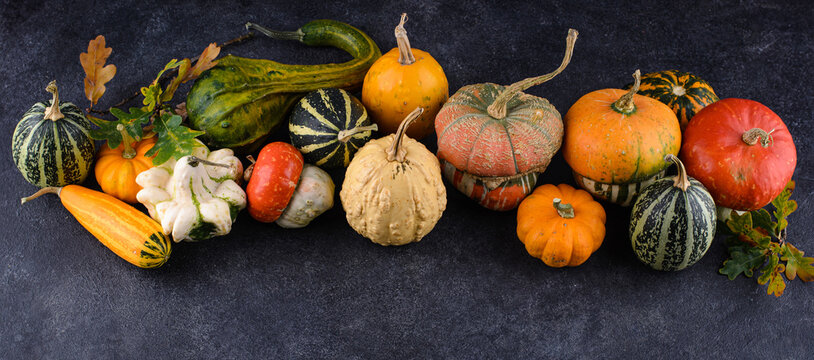 Various decorative pumpkins and dry leaves. Autumn harvest concept