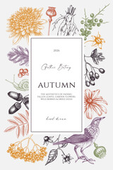 Fototapeta premium Vintage autumn frame design. Botanical illustration of garden flowers, fallen leaves, wild berries for card, invitation or book cover. NOT AI generated