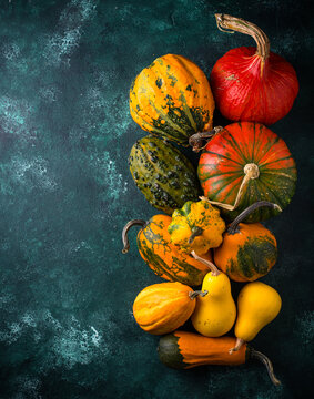 Set of various decorative pumpkin on green background