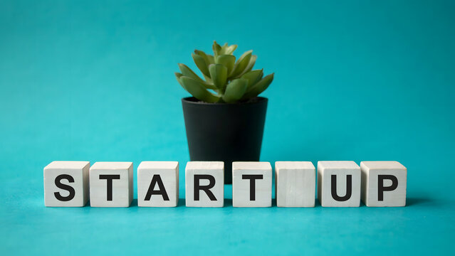 Wooden blocks spelling start up with a succulent plant on a blue background