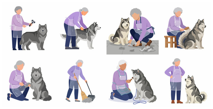 Flat vector illustration set of a senior woman grooming and caring for her large husky dog
