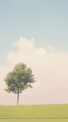 Naklejka premium Esthetic park landscape wallpaper grassland outdoors nature.