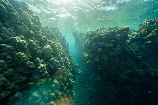 Sunlight Rays Penetrating Underwater Coral Reef