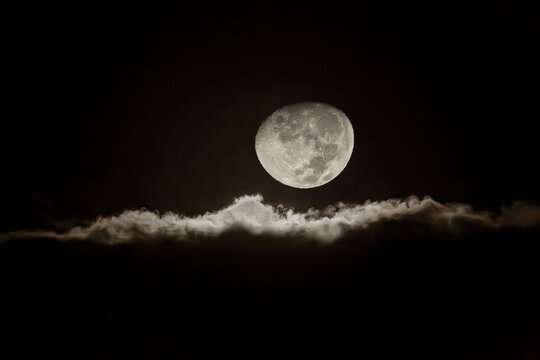 moonlight
