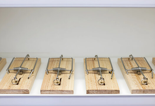 Risk and danger concept multiple empty mouse traps in a row business strategy and competition trap and bait metaphor