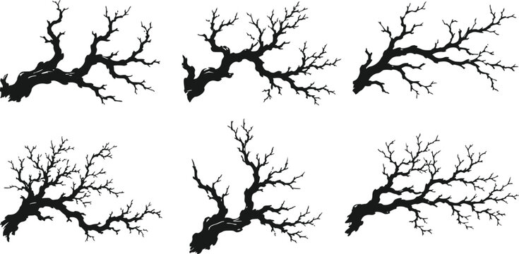 Set of black tree branches silhouettes with bare twigs isolated on white background for creative design projects isolated on white background