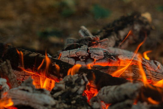 Burning firewood logs and glowing embers close up. Close-up macro shot of burning firewood logs, hot glowing embers, and small tongues of flame from an outdoor campfire.