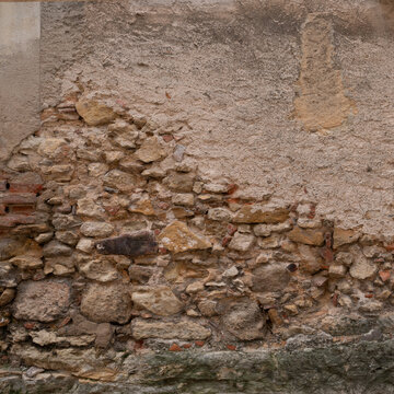 Medieval Gothic Stone Wall Seamless Texture