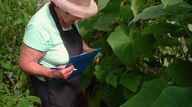 Elderly Female Farmer Observing Plants and Taking Notes
