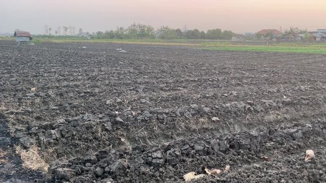 Ploughed agricultural land preparation with rich dark soil texture
